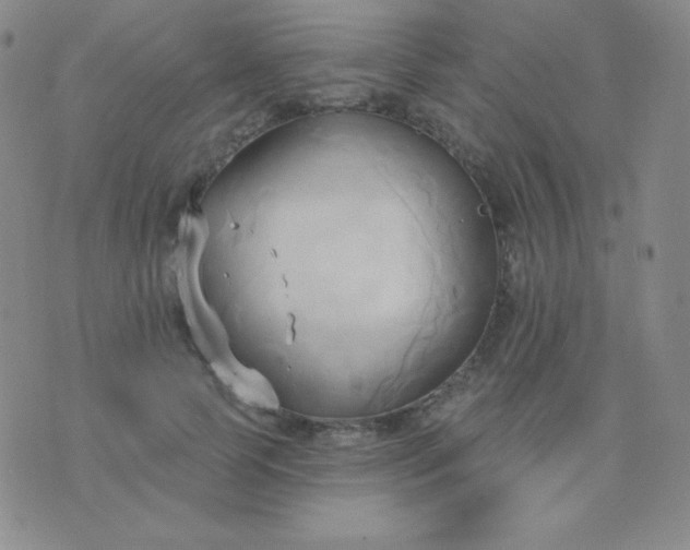 X0000076220745200610122049