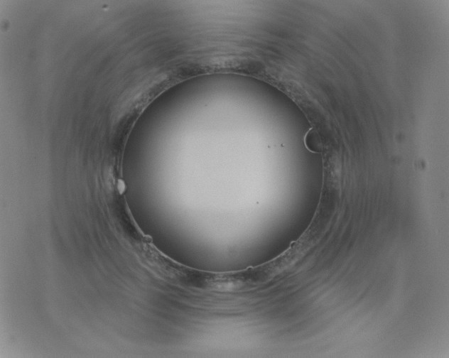 X0000076220746200610122049