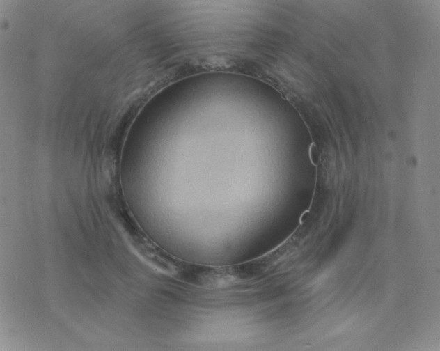 X0000076220747200610122049