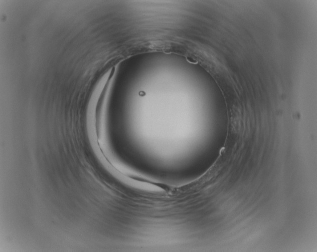 X0000076220748200610122049