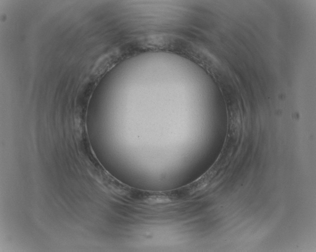 X0000076220749200610122049