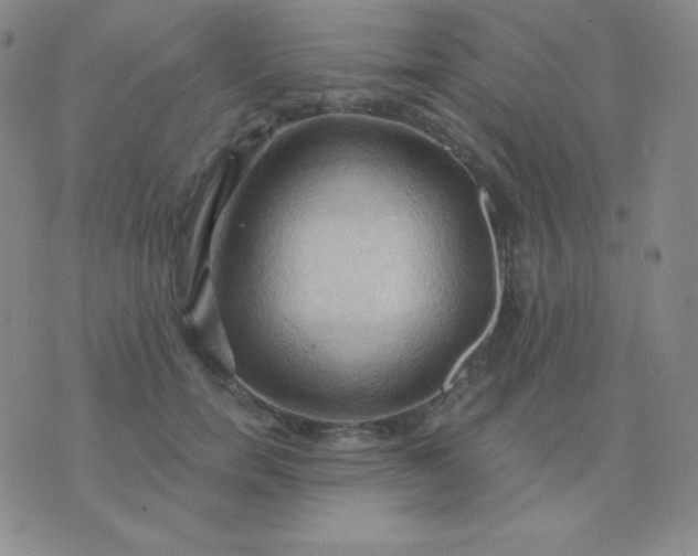 X0000076220750200610122049