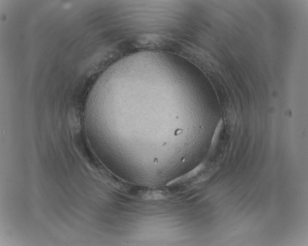 X0000076220751200610122049