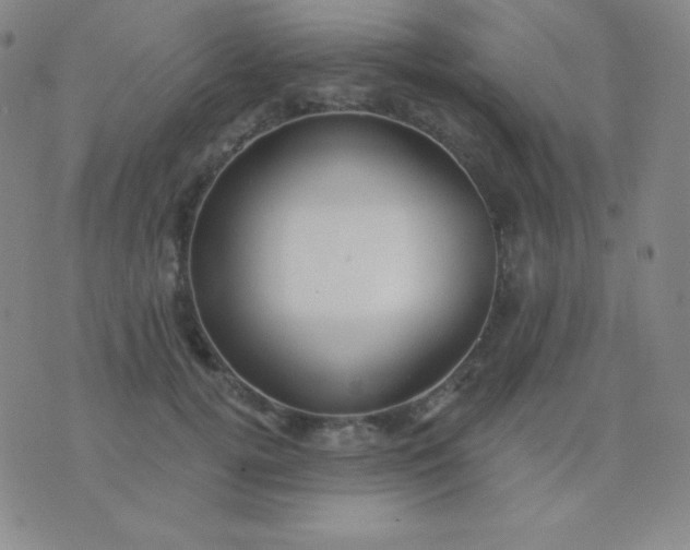 X0000076220752200610122049