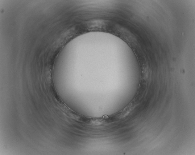 X0000076220753200610122049