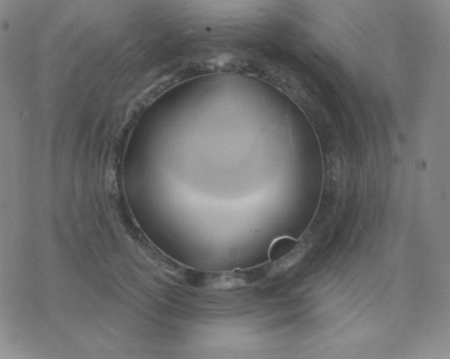 X0000076220754200610122050