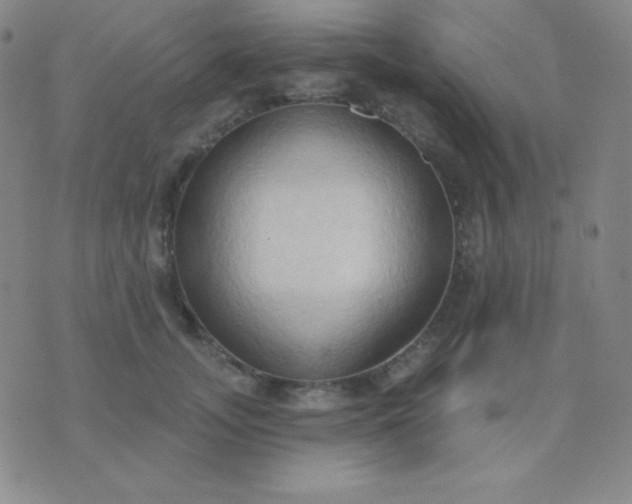 X0000076220755200610122050