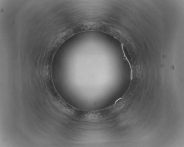 X0000076220756200610122050