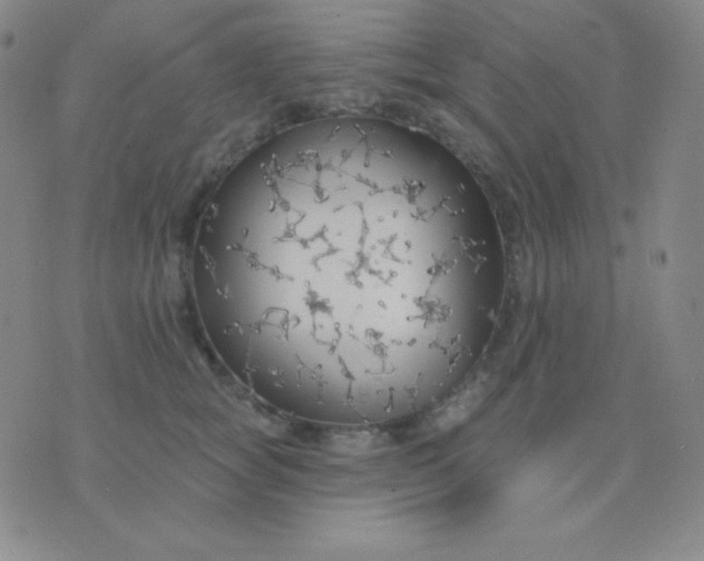 X0000076220757200610122050