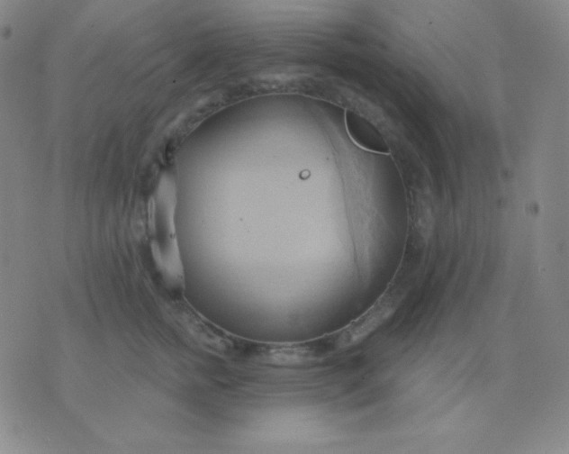 X0000076220758200610122050