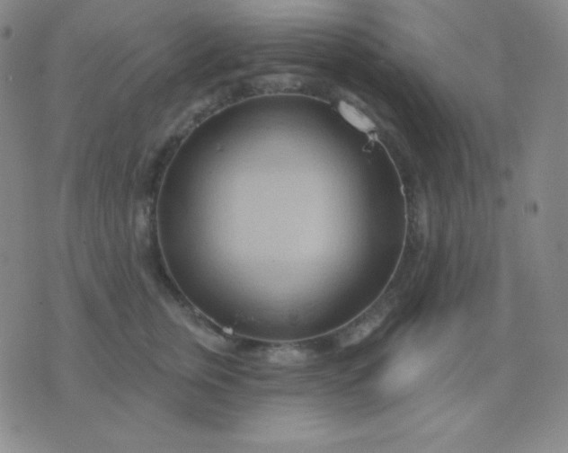 X0000076220759200610122050