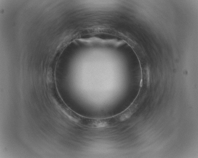 X0000076220760200610122050