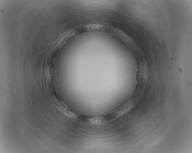 X0000076220761200610122050