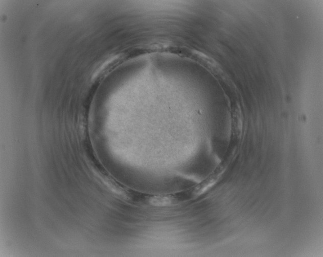 X0000076220762200610122050