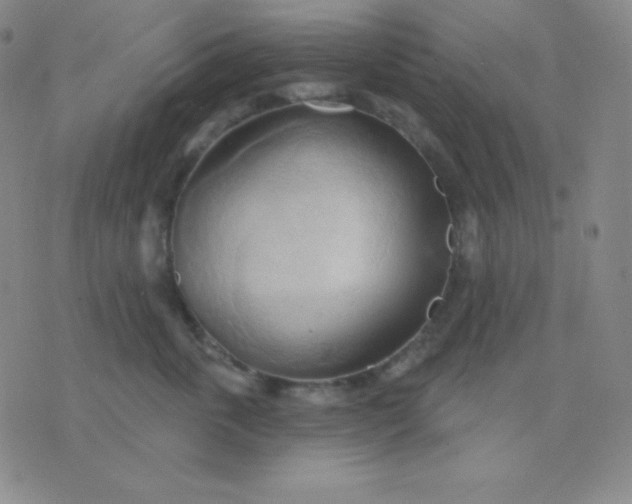 X0000076220763200610122050