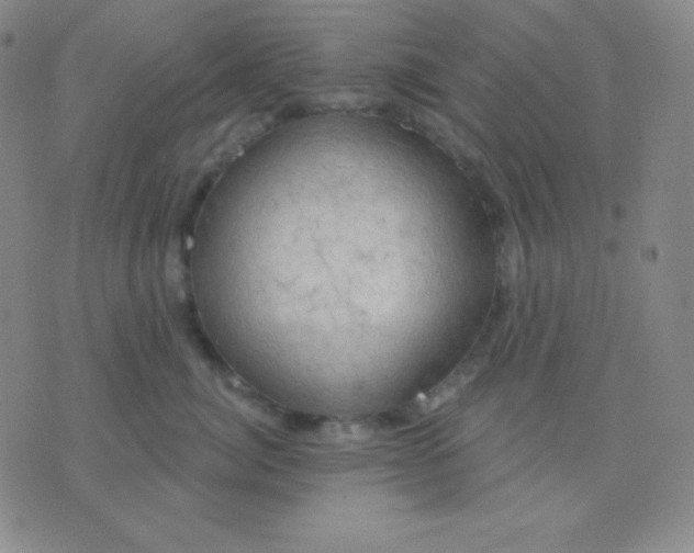 X0000076220764200610122050