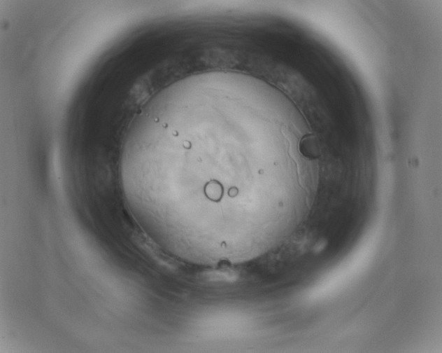 X0000076220765200610122050