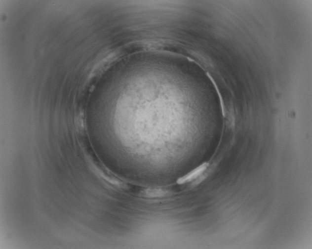 X0000076220766200610122050