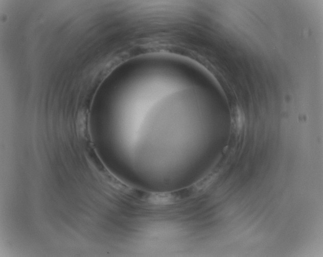 X0000076220767200610122050