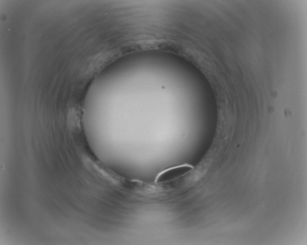 X0000076220768200610122050