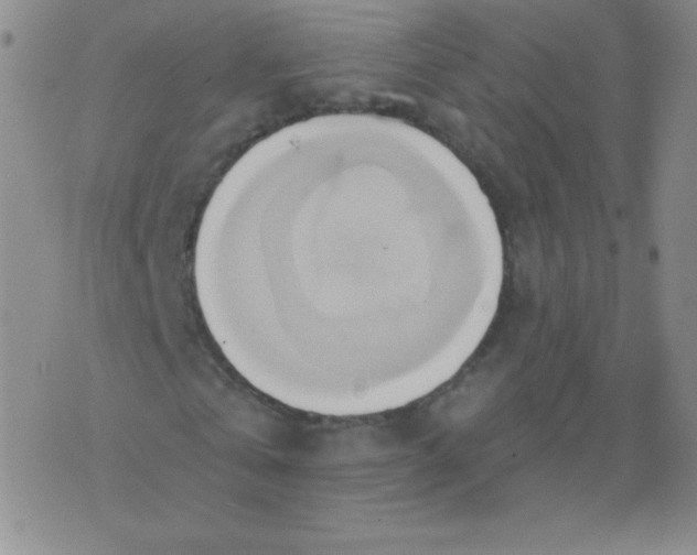 X0000076220769200610122049