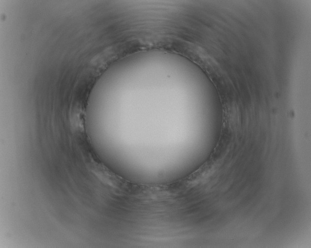 X0000076220770200610122049