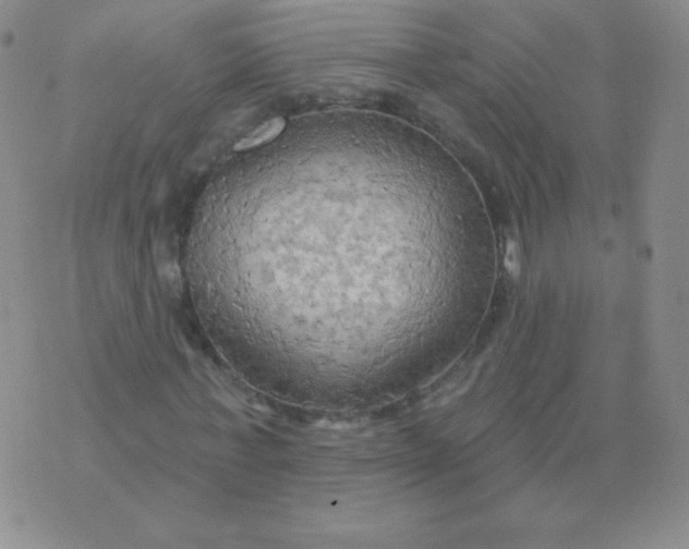 X0000076220771200610122049