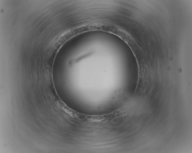 X0000076220773200610122049