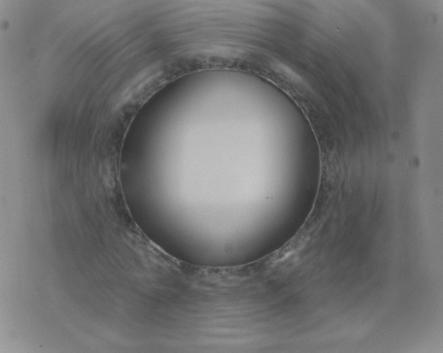 X0000076220774200610122049