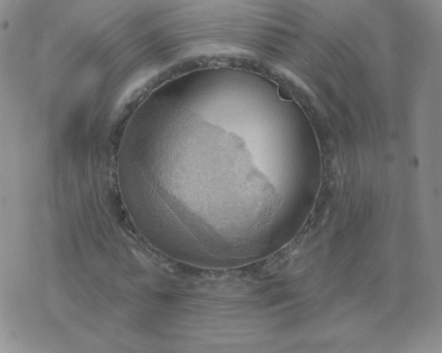 X0000076220775200610122049