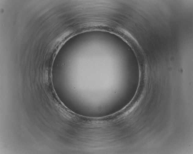 X0000076220777200610122049