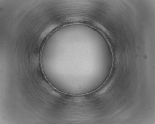 X0000076220778200610122049