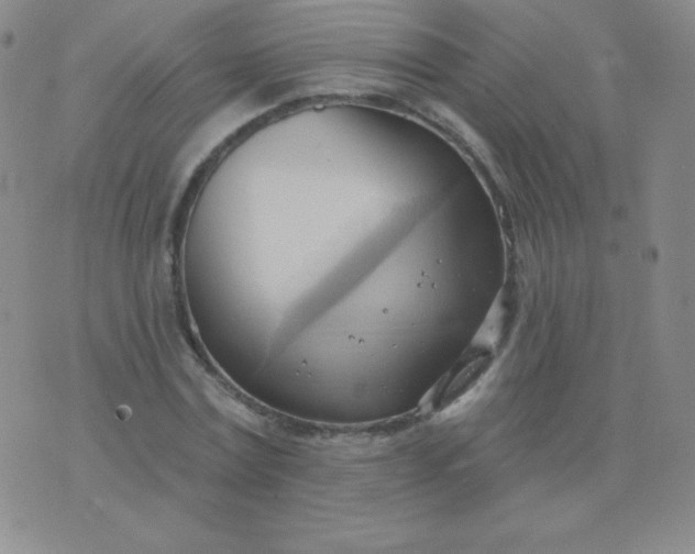 X0000076220779200610122049