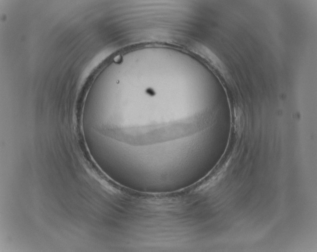 X0000076220780200610122049