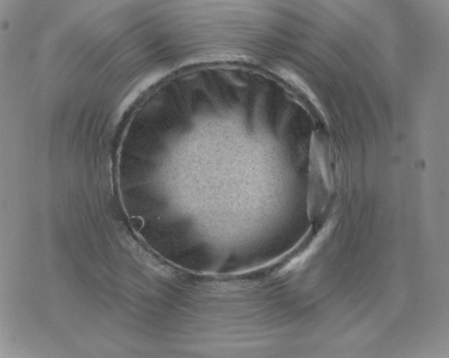 X0000076220781200610122049