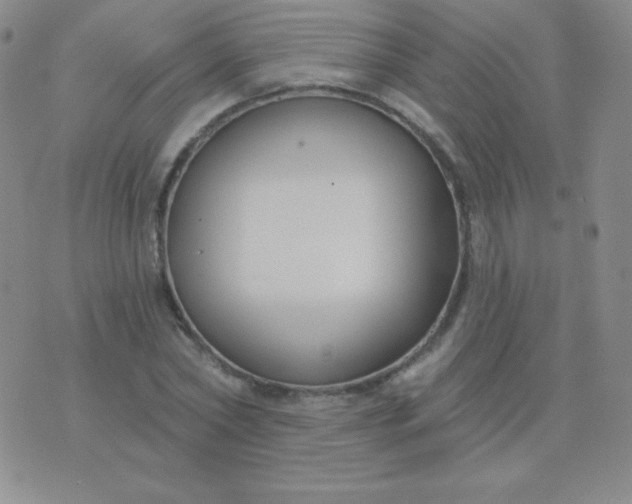 X0000076220782200610122049