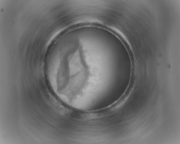 X0000076220783200610122049