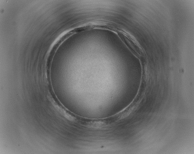 X0000076220784200610122049