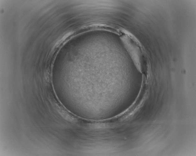 X0000076220785200610122049