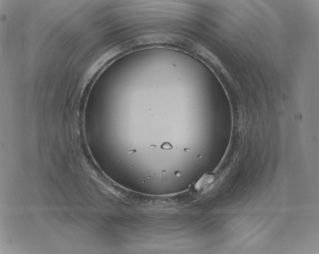 X0000076220786200610122049