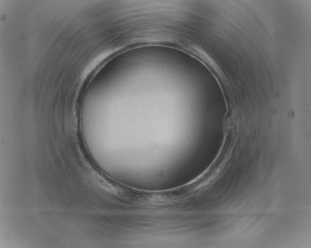 X0000076220787200610122049