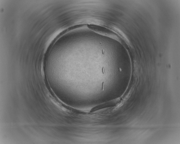 X0000076220788200610122049