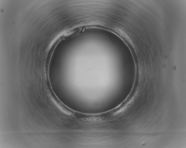 X0000076220789200610122049