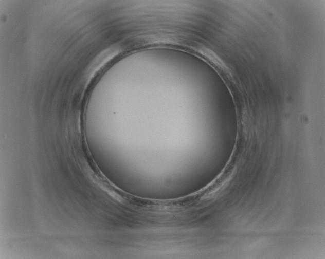 X0000076220790200610122049