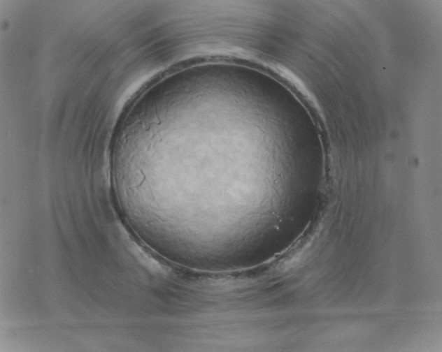 X0000076220791200610122049