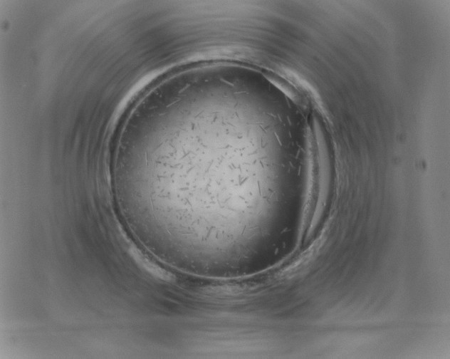 X0000076220792200610122049