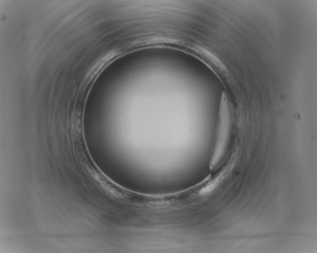 X0000076220793200610122049