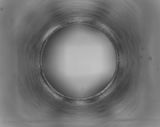 X0000076220794200610122049