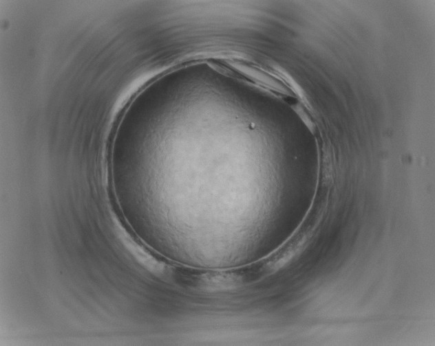 X0000076220795200610122049