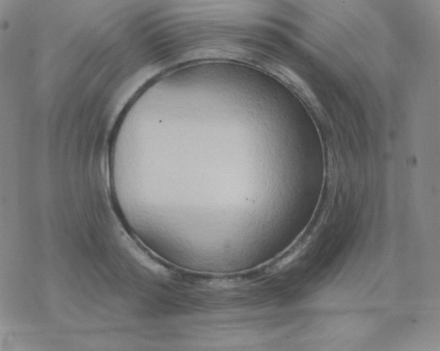 X0000076220796200610122049